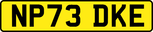 NP73DKE