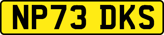 NP73DKS