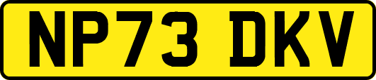 NP73DKV
