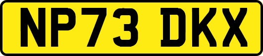 NP73DKX