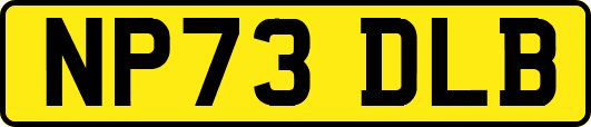 NP73DLB