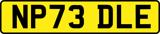 NP73DLE
