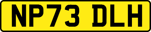 NP73DLH
