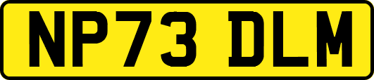 NP73DLM