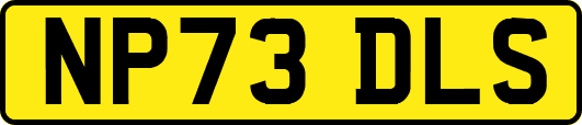 NP73DLS