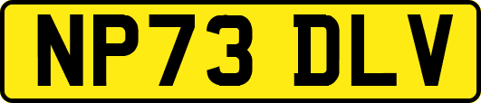 NP73DLV