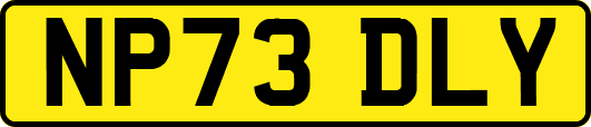 NP73DLY