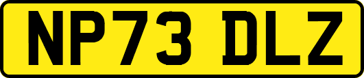 NP73DLZ