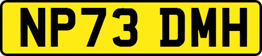 NP73DMH