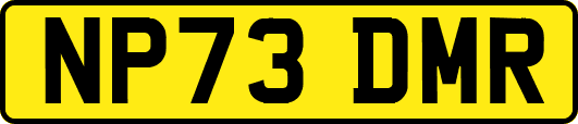 NP73DMR