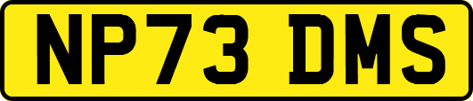 NP73DMS