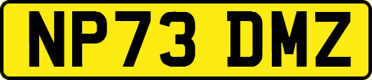 NP73DMZ