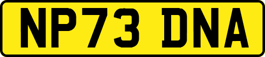 NP73DNA