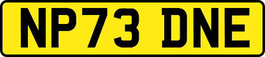 NP73DNE