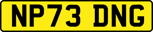 NP73DNG