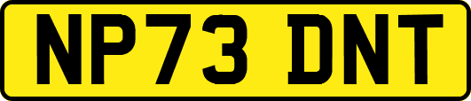 NP73DNT