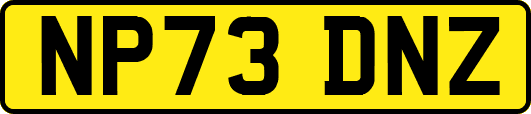 NP73DNZ