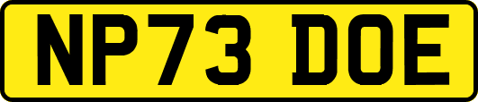 NP73DOE