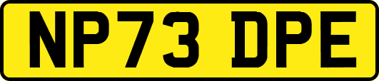 NP73DPE