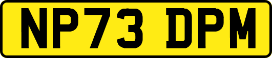 NP73DPM