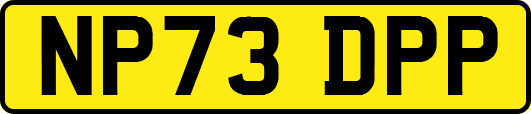 NP73DPP