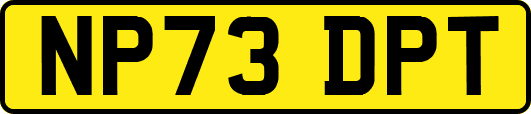 NP73DPT