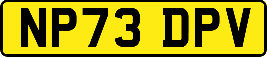 NP73DPV
