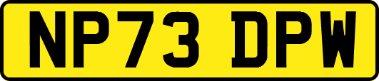 NP73DPW