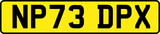 NP73DPX