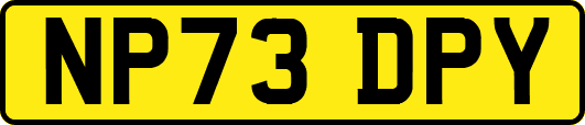 NP73DPY