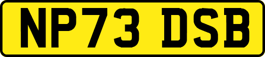 NP73DSB