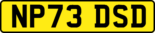 NP73DSD