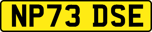 NP73DSE