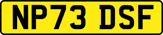 NP73DSF