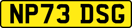NP73DSG