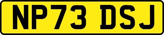 NP73DSJ