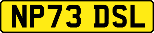 NP73DSL