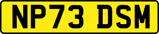 NP73DSM