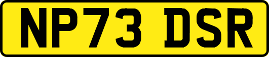 NP73DSR