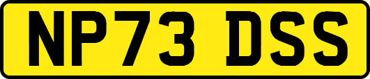 NP73DSS