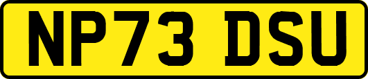 NP73DSU