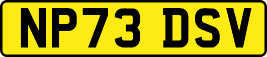 NP73DSV