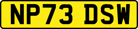 NP73DSW