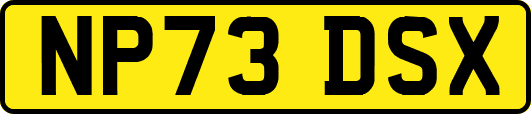 NP73DSX