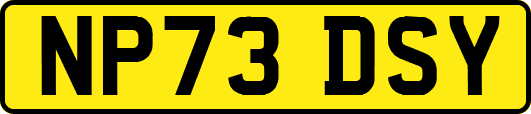NP73DSY