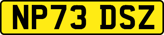 NP73DSZ