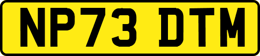 NP73DTM