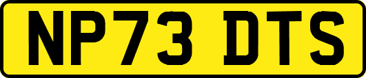 NP73DTS