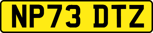 NP73DTZ