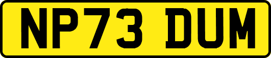NP73DUM